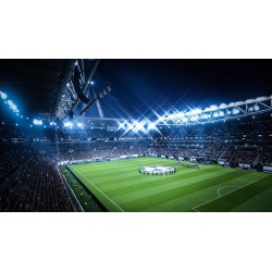 Fifa 19 PS4 Español Latino Primaria
