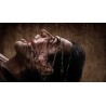 The Evil Within PS3 Español
