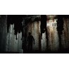 The Evil Within 1 PS5 Primaria